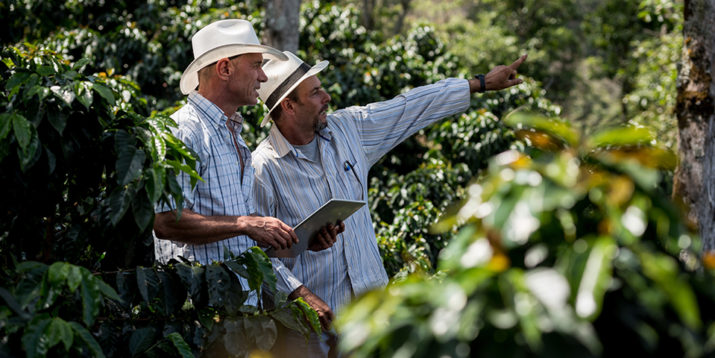 What Is Sustainability? Check Out This Handy Glossary
