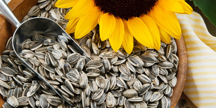 Are Sunflower Seeds Healthy?