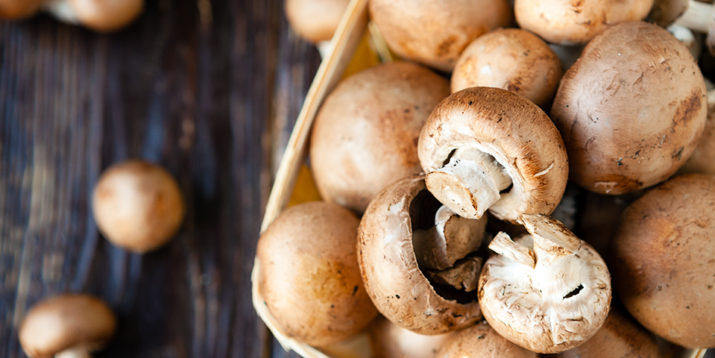 Find Out How to Cook Magically Delicious Mushrooms