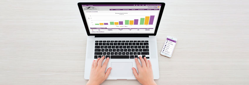 sistema para control de ventas