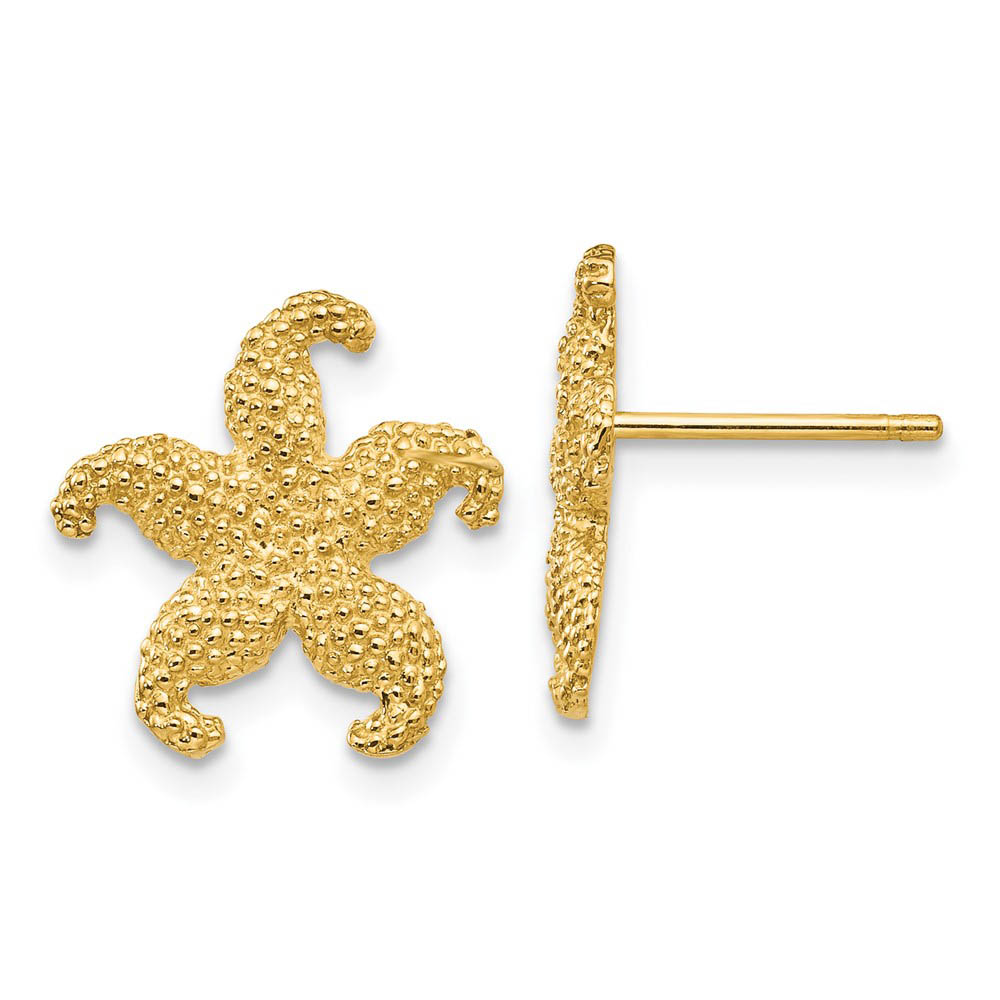 13mm Textured Starfish Post Earrings in 14k Yellow Gold