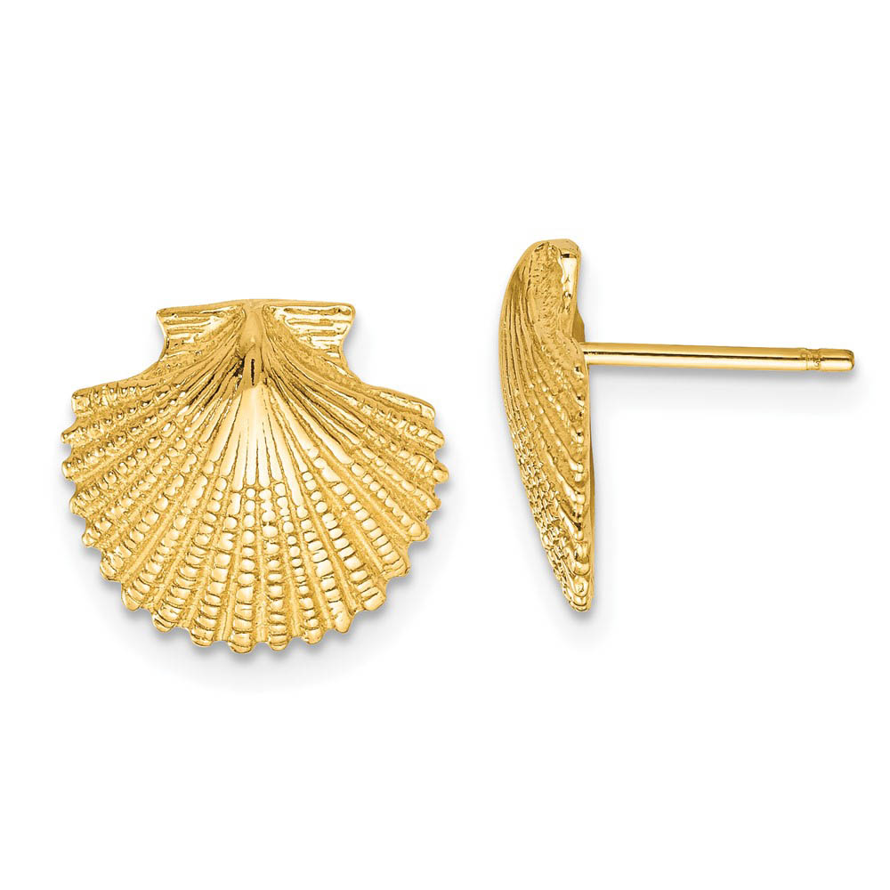 13mm Scalloped Shell Post Earrings in 14k Yellow Gold