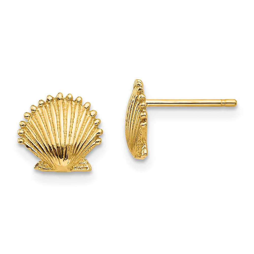 8mm Scalloped Shell Post Earrings in 14k Yellow Gold