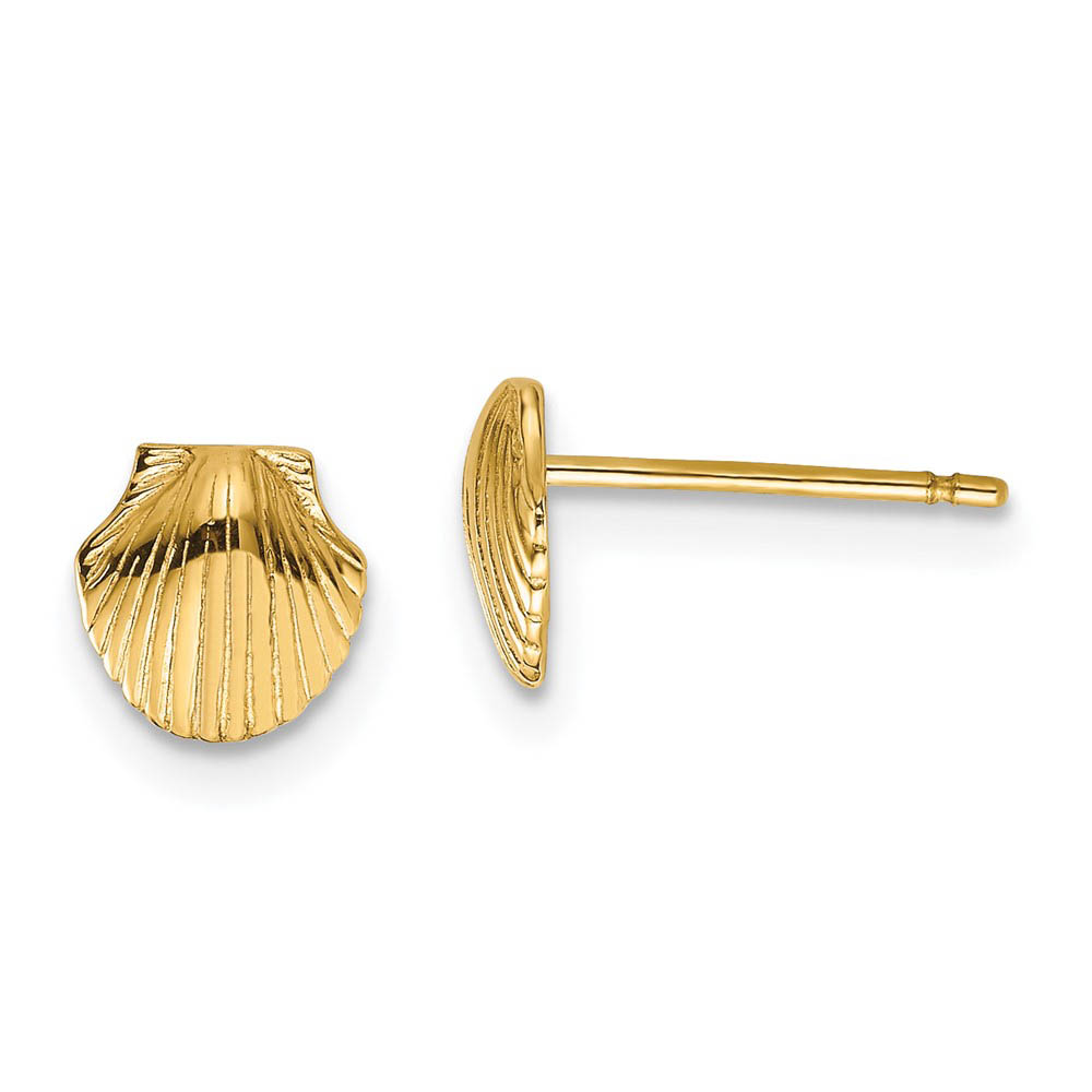 7mm Scalloped Shell Post Earrings in 14k Yellow Gold
