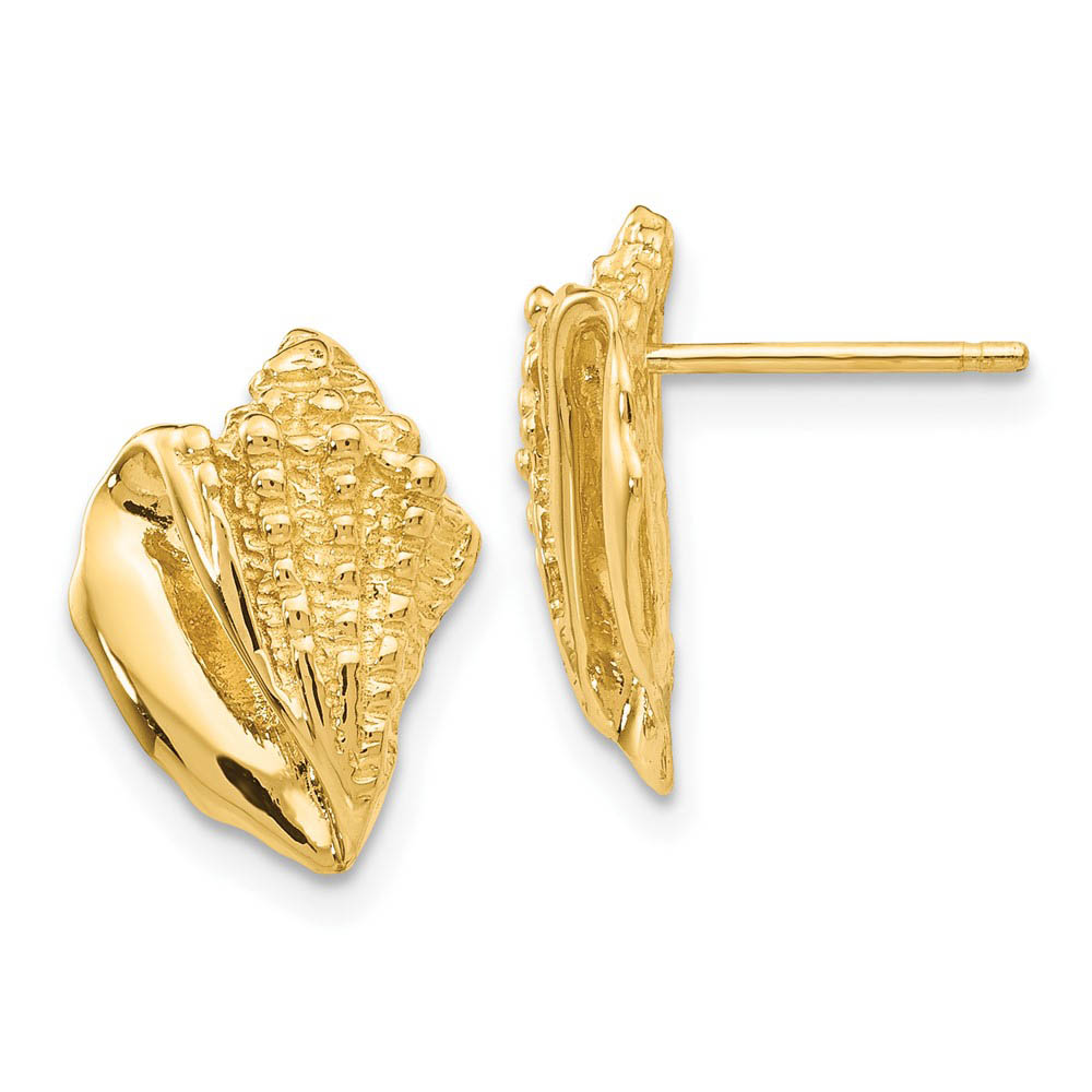 Textured Conch Shell Post Earrings in 14k Yellow Gold