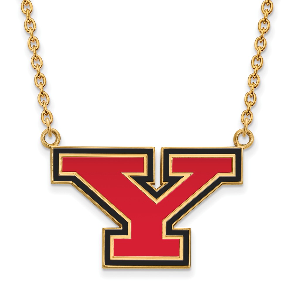 14k Gold Plated Silver Youngstown State LG Enamel 'Y' Necklace, 18 In
