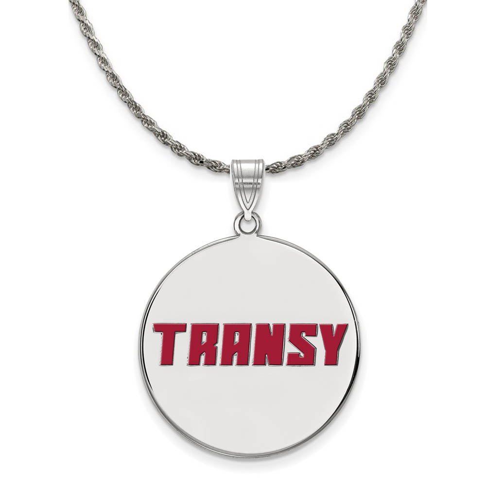 Sterling Silver Transylvania U. Enamel Disc Necklace