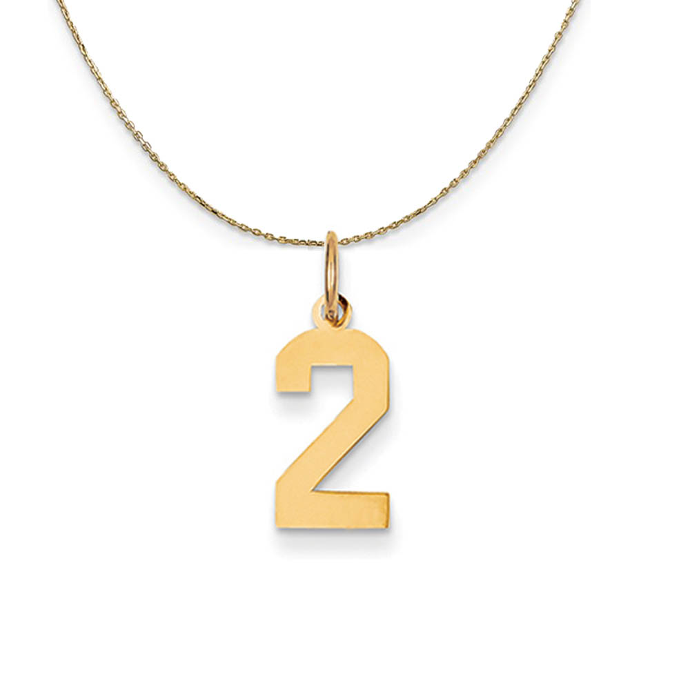 14k Yellow Gold, Athletic, Sm Polished Number 2 Necklace