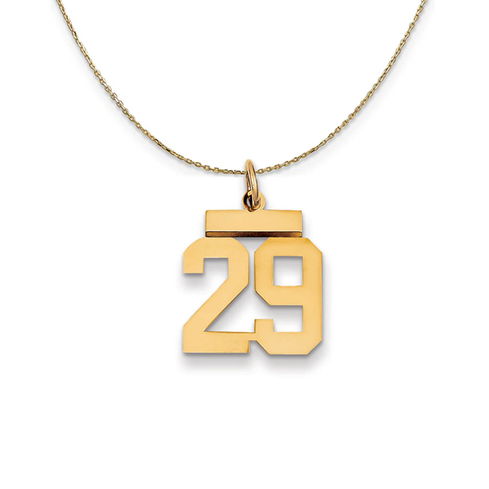 14k Yellow Gold, Athletic, Sm Polished Number 29 Necklace