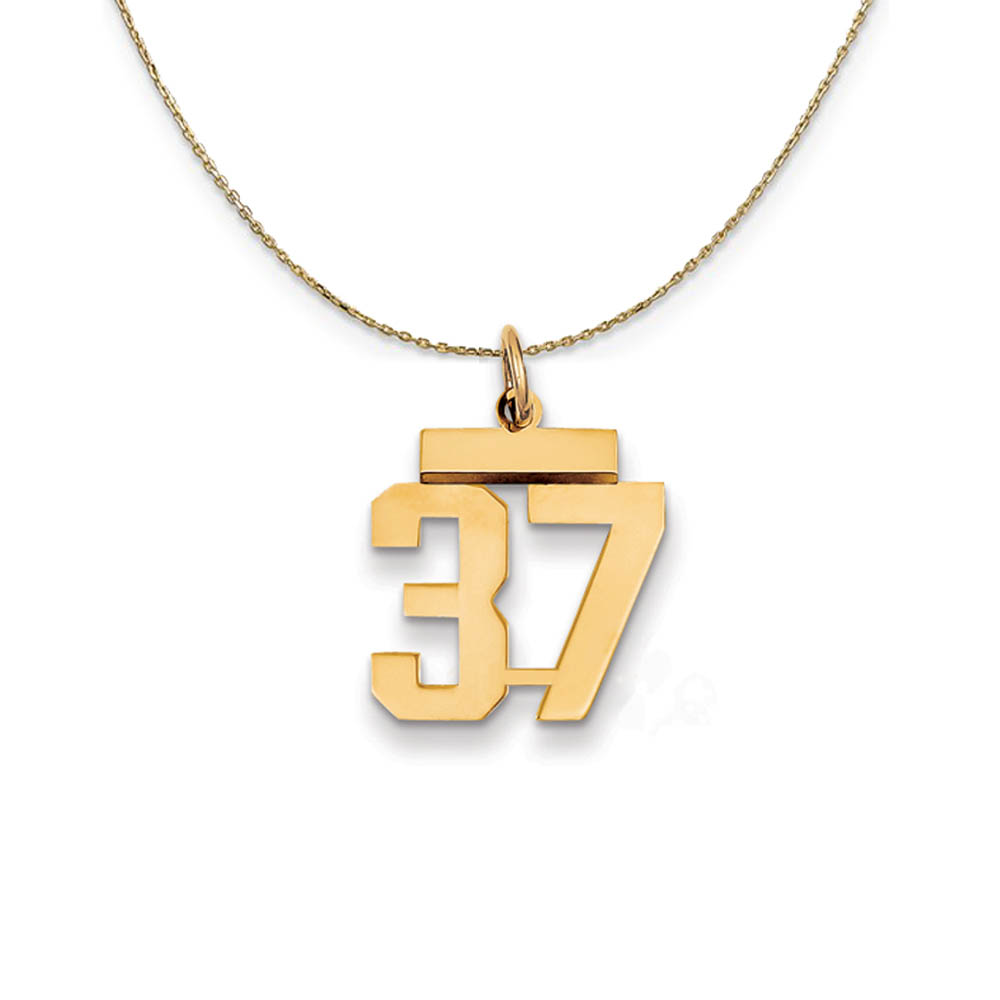 14k Yellow Gold, Athletic, Sm Polished Number 37 Necklace