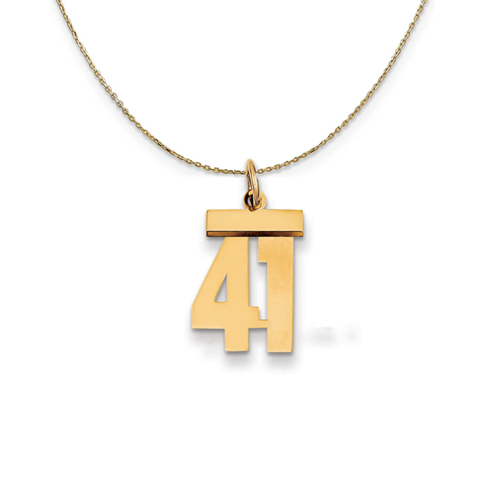 14k Yellow Gold, Athletic, Sm Polished Number 41 Necklace