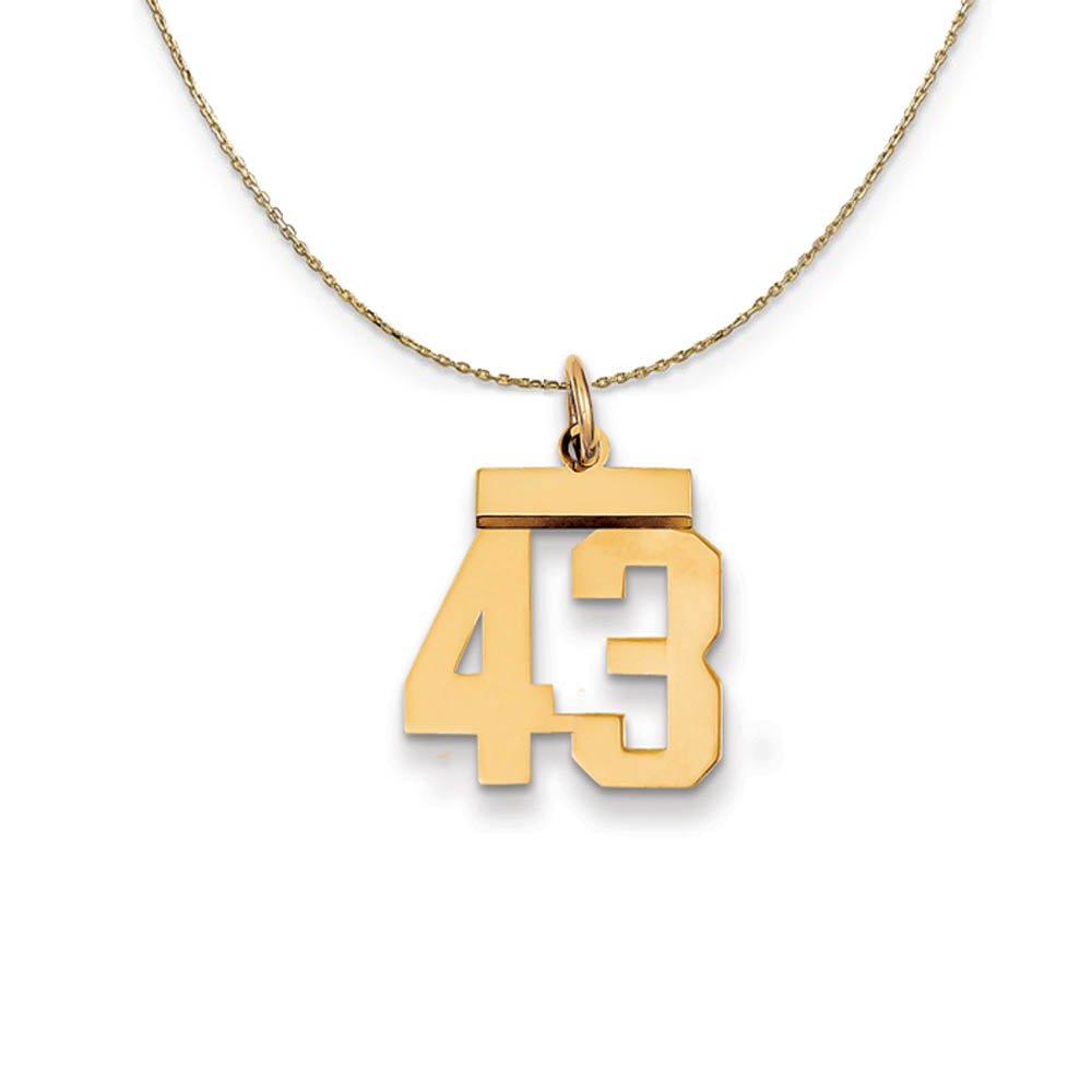 14k Yellow Gold, Athletic, Sm Polished Number 43 Necklace