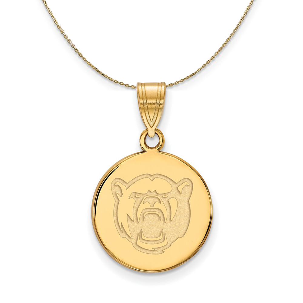 14k Yellow Gold Baylor U Disc Necklace