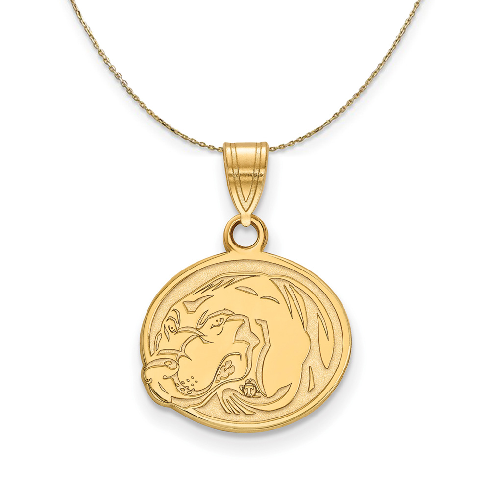 14k Yellow Gold U. of Tennessee Oval Disc Necklace