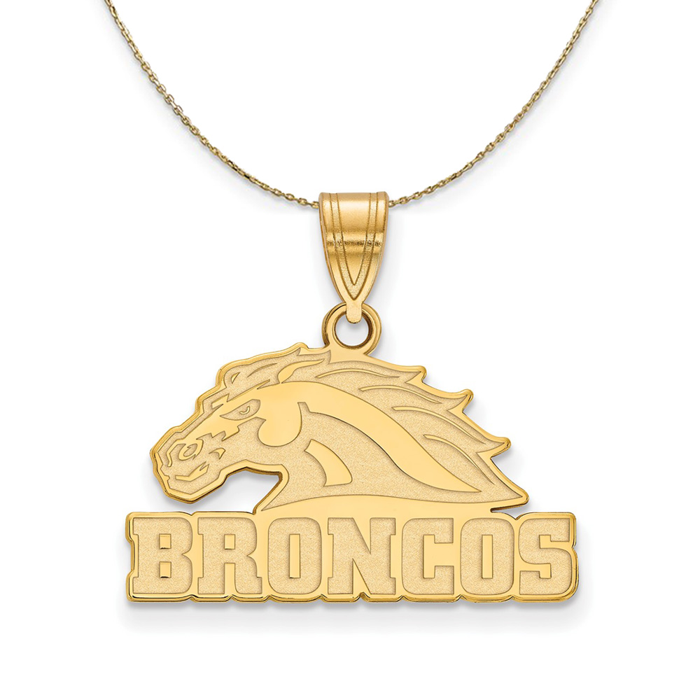 14k Yellow Gold Western Michigan U. Necklace