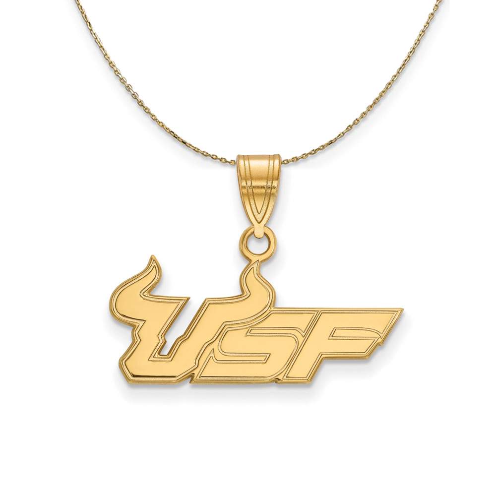 14k Yellow Gold South Florida Necklace