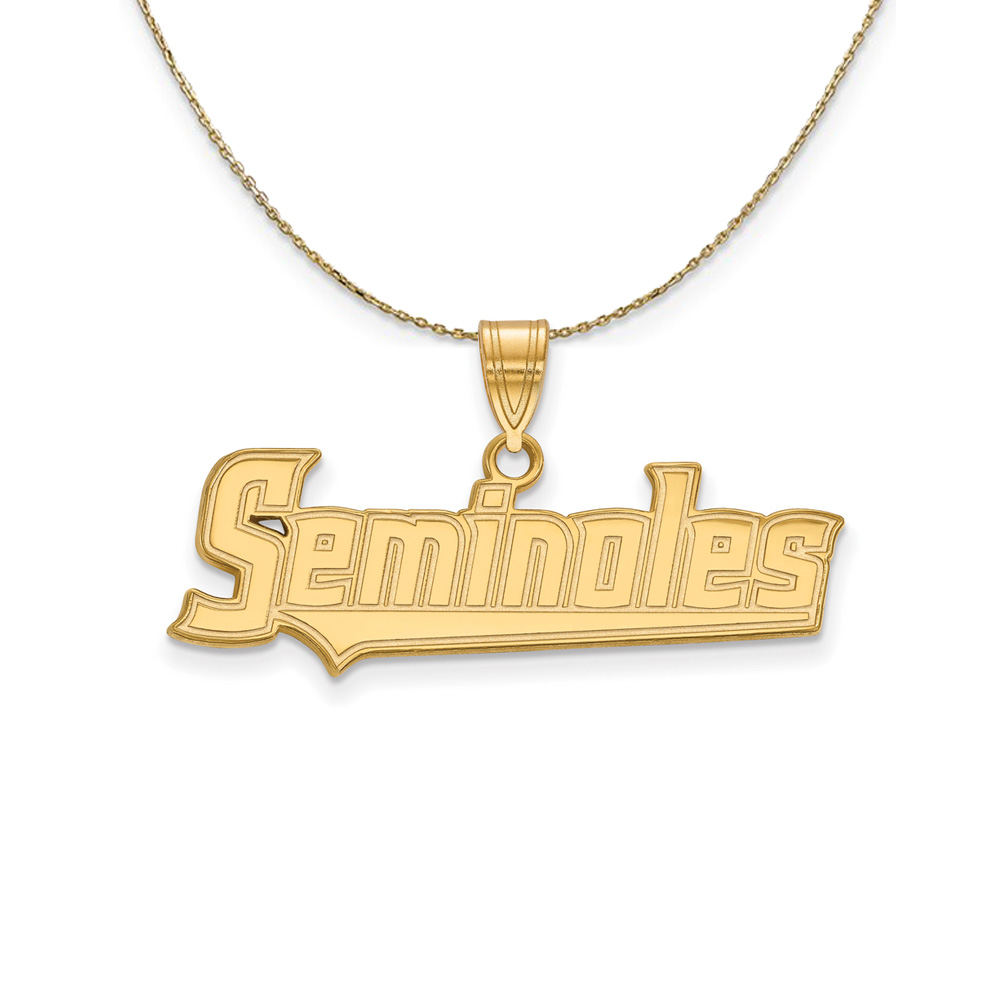 14k Yellow Gold Florida State Necklace
