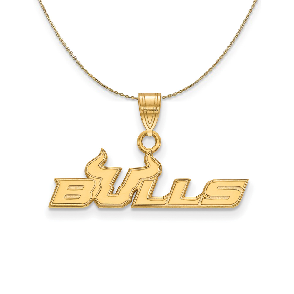 14k Yellow Gold South Florida Necklace