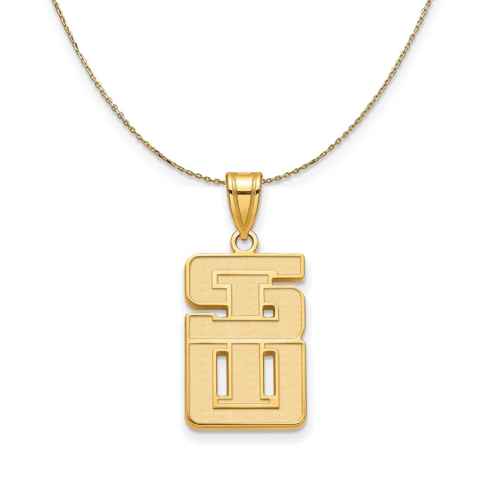 14k Yellow Gold Southern Illinois U. Necklace