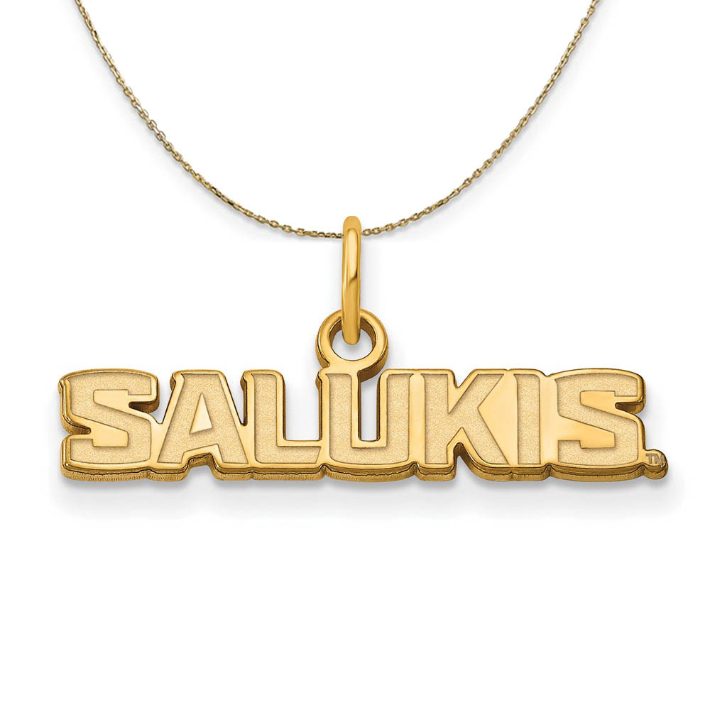 14k Yellow Gold Southern Illinois U. X-Small Necklace