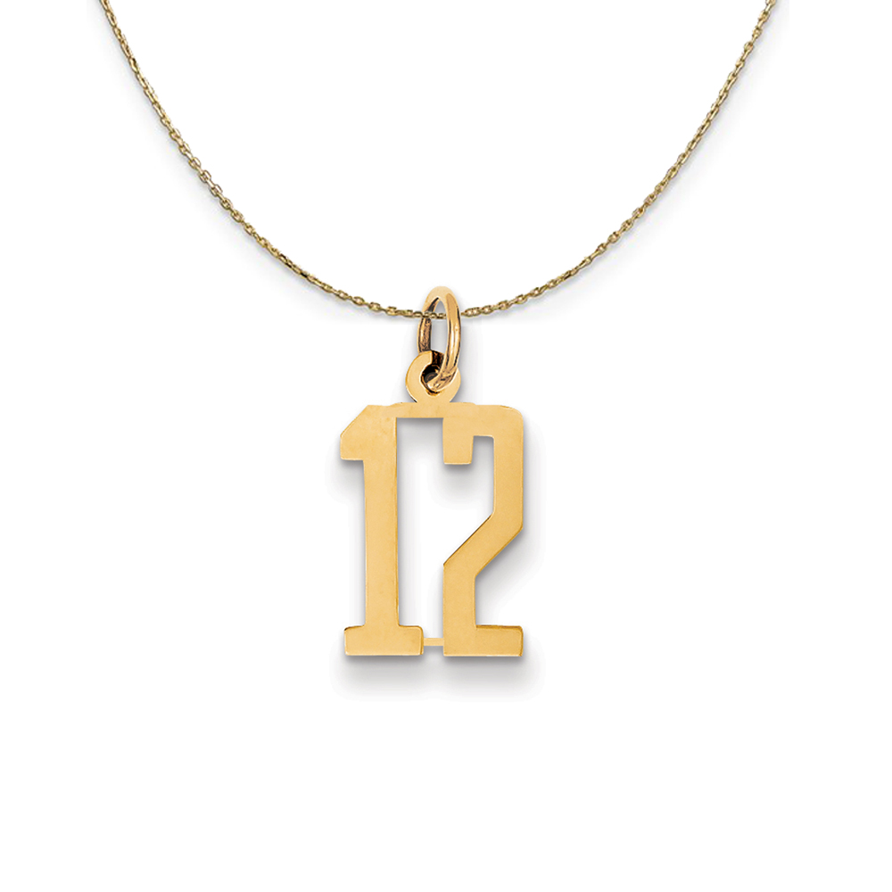 14k Yellow Gold, Alumni Elongated Number 12 Necklace
