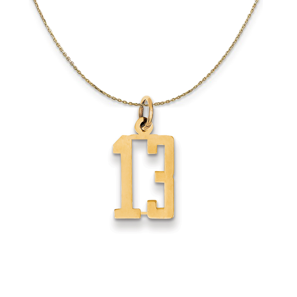 14k Yellow Gold, Alumni Elongated Number 13 Necklace