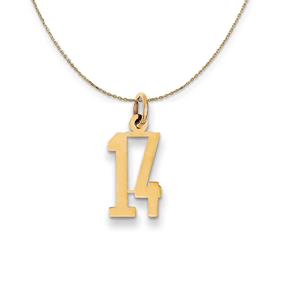 14k Yellow Gold, Alumni Elongated Number 14 Necklace