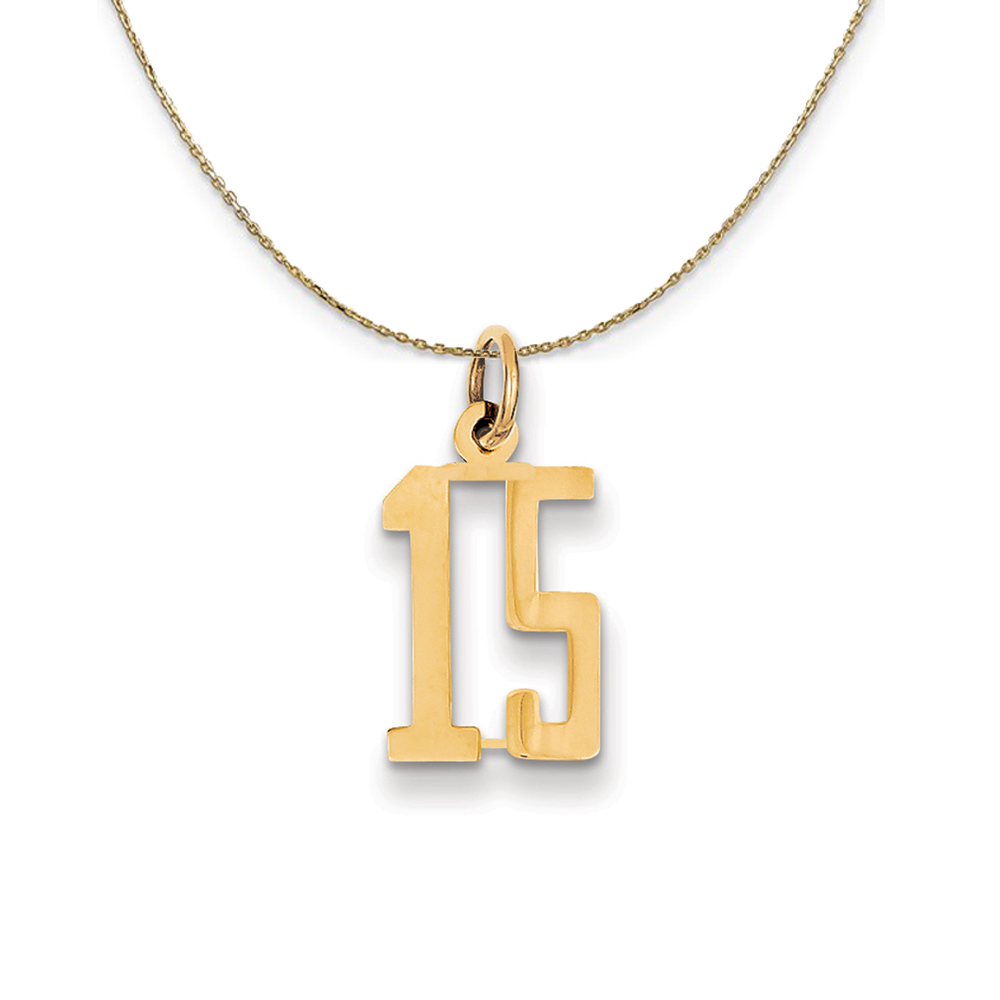 14k Yellow Gold, Alumni Elongated Number 15 Necklace