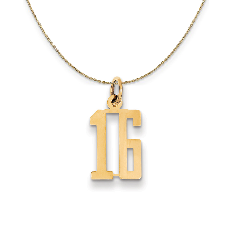 14k Yellow Gold, Alumni Elongated Number 16 Necklace