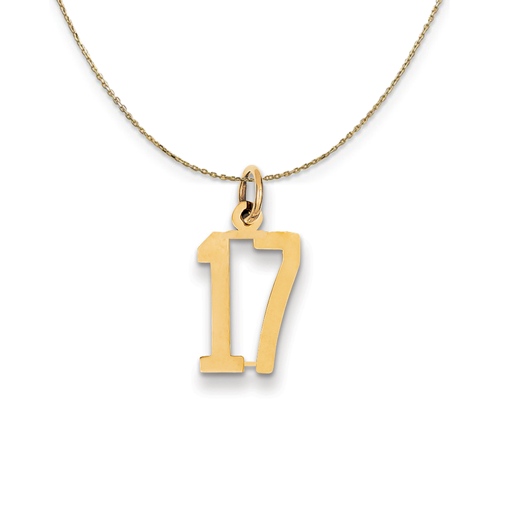 14k Yellow Gold, Alumni Elongated Number 17 Necklace