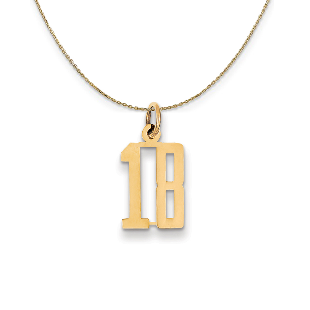 14k Yellow Gold, Alumni Elongated Number 18 Necklace