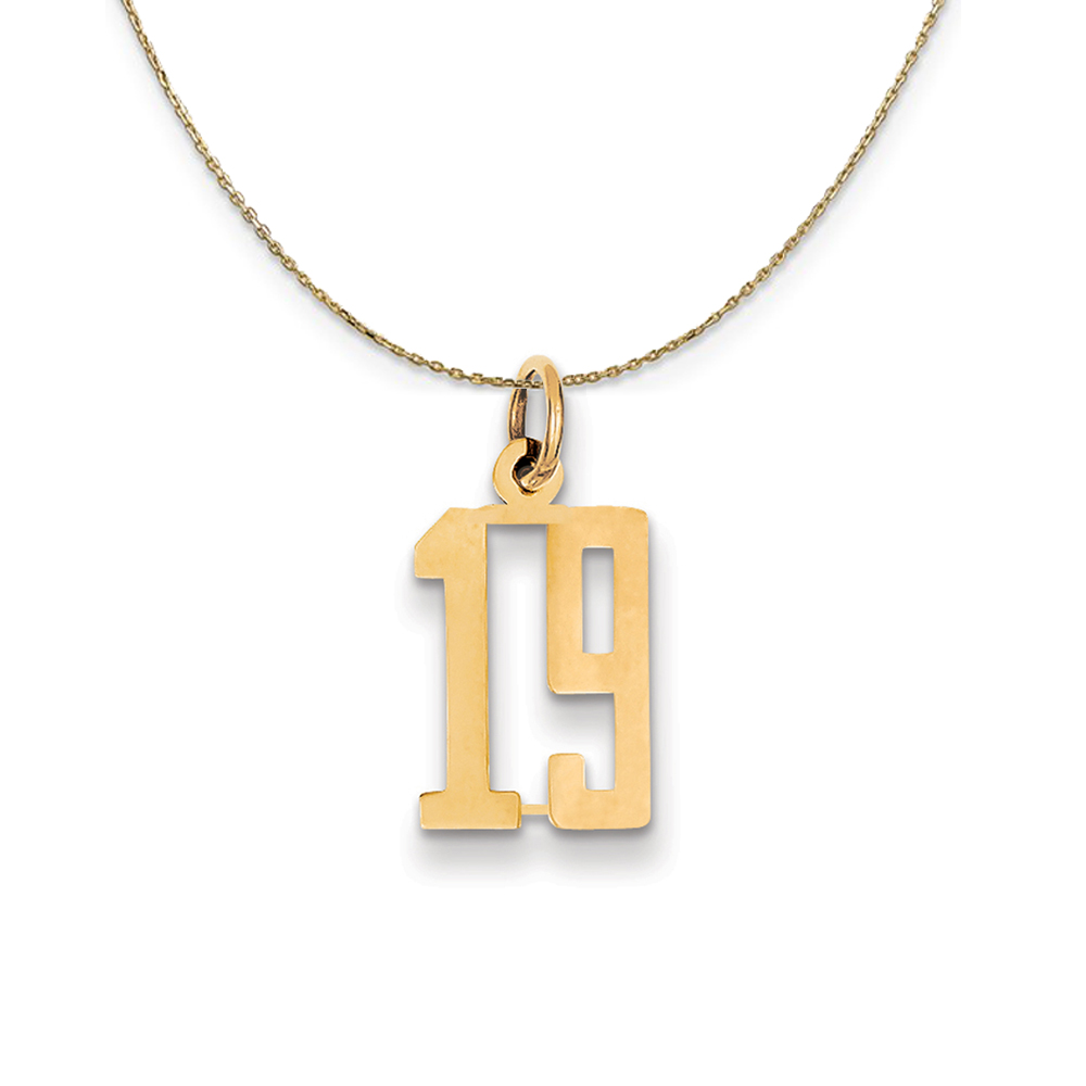 14k Yellow Gold, Alumni Elongated Number 19 Necklace