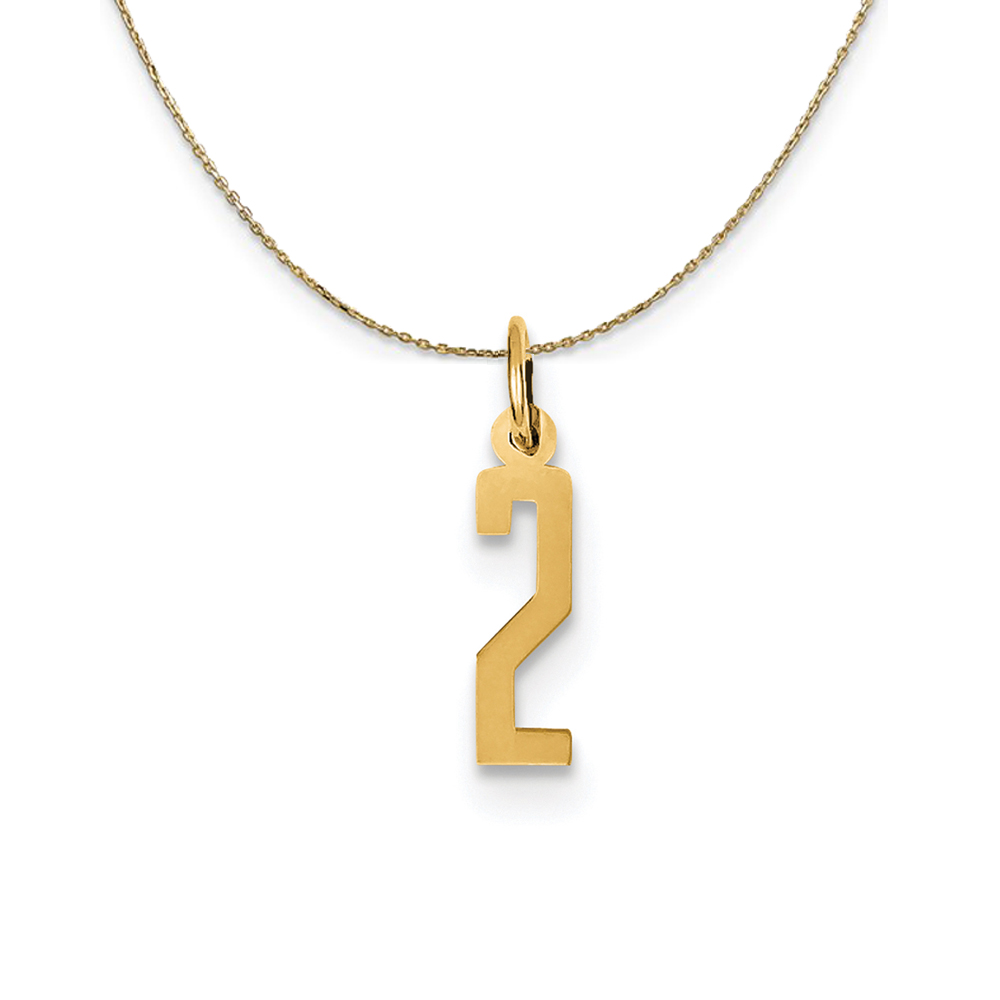14k Yellow Gold, Alumni Elongated Number 2 Necklace