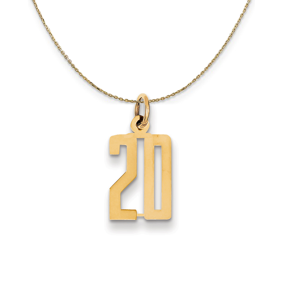 14k Yellow Gold, Alumni Elongated Number 20 Necklace
