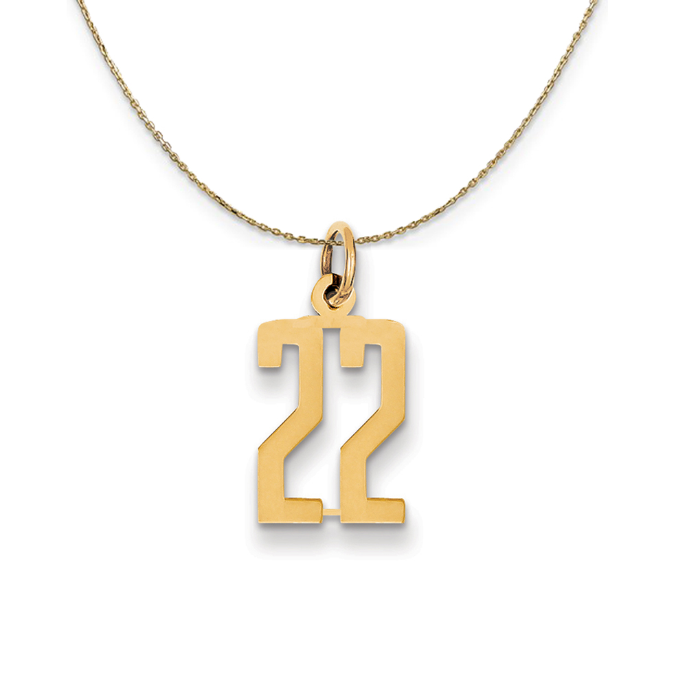 14k Yellow Gold, Alumni Elongated Number 22 Necklace