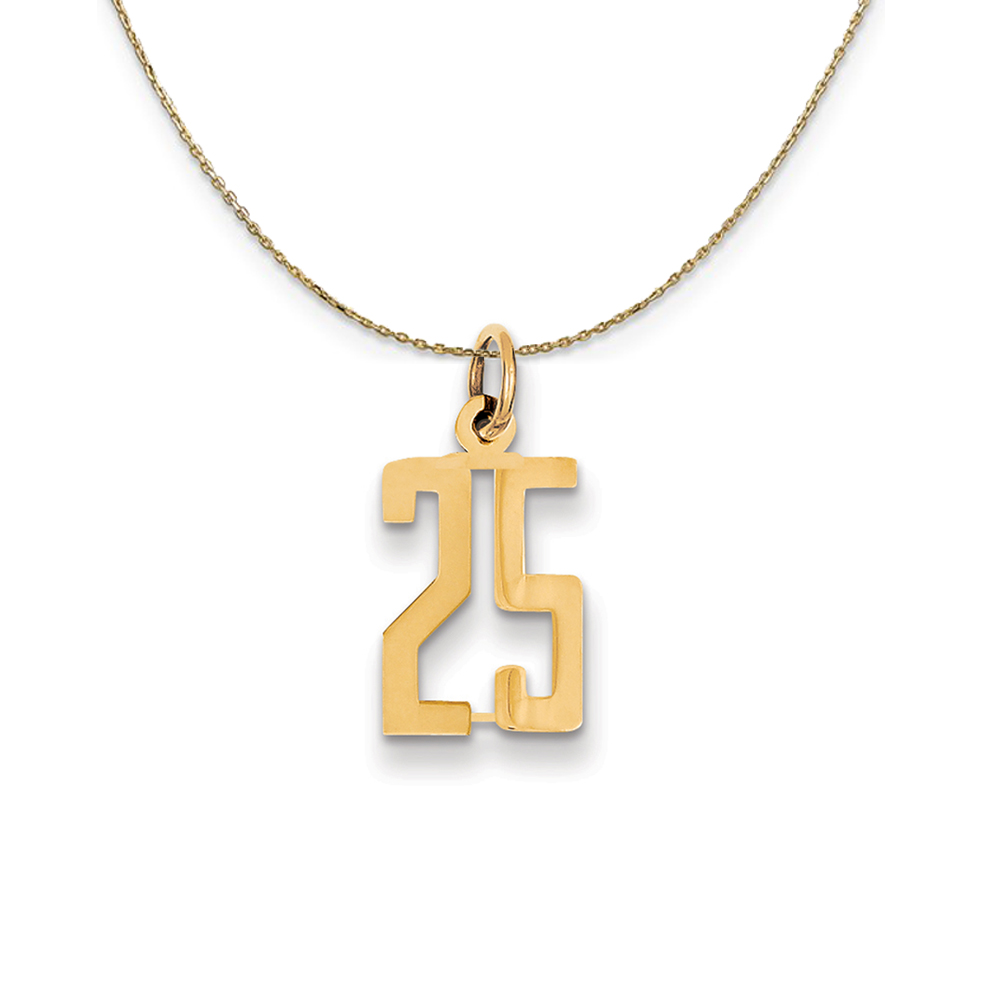 14k Yellow Gold, Alumni Elongated Number 25 Necklace