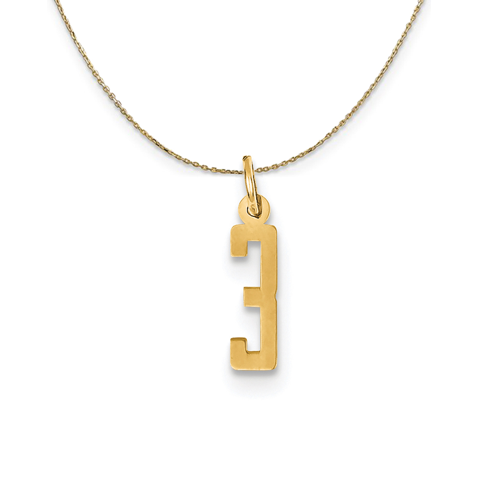 14k Yellow Gold, Alumni Elongated Number 3 Necklace