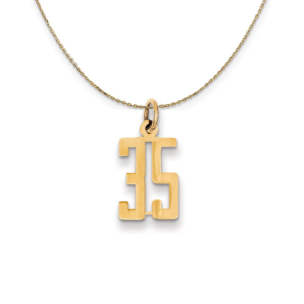 14k Yellow Gold, Alumni Elongated Number 35 Necklace