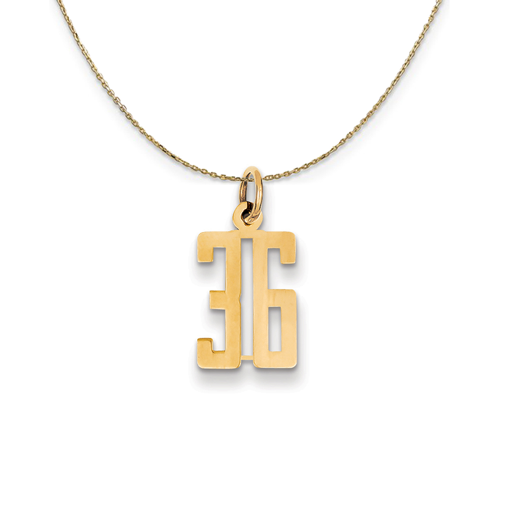 14k Yellow Gold, Alumni Elongated Number 36 Necklace