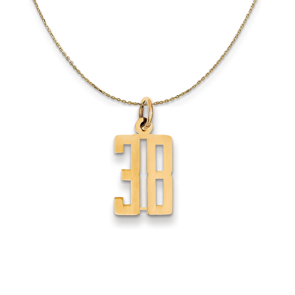 14k Yellow Gold, Alumni Elongated Number 38 Necklace