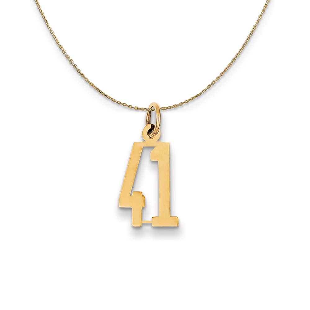 14k Yellow Gold, Alumni Elongated Number 41 Necklace