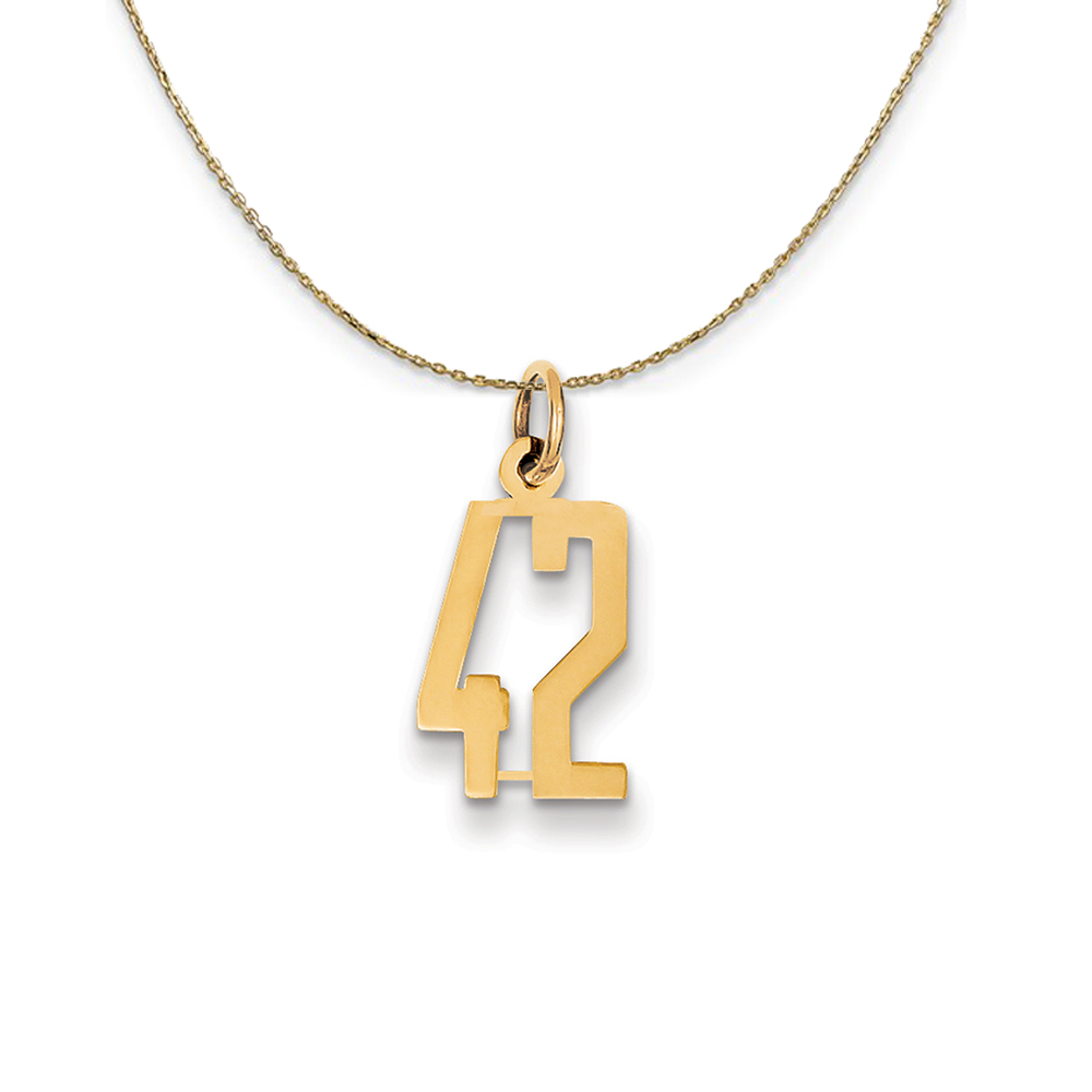 14k Yellow Gold, Alumni Elongated Number 42 Necklace