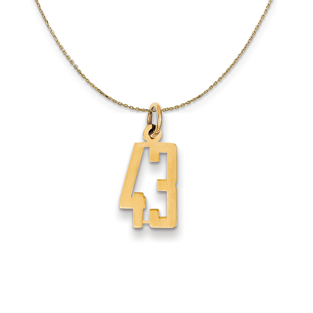 14k Yellow Gold, Alumni Elongated Number 43 Necklace