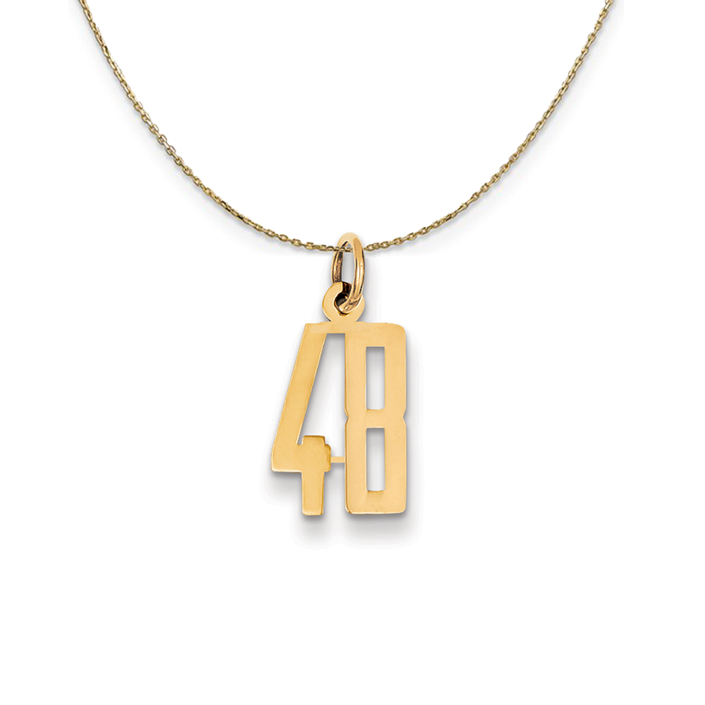 14k Yellow Gold, Alumni Elongated Number 48 Necklace