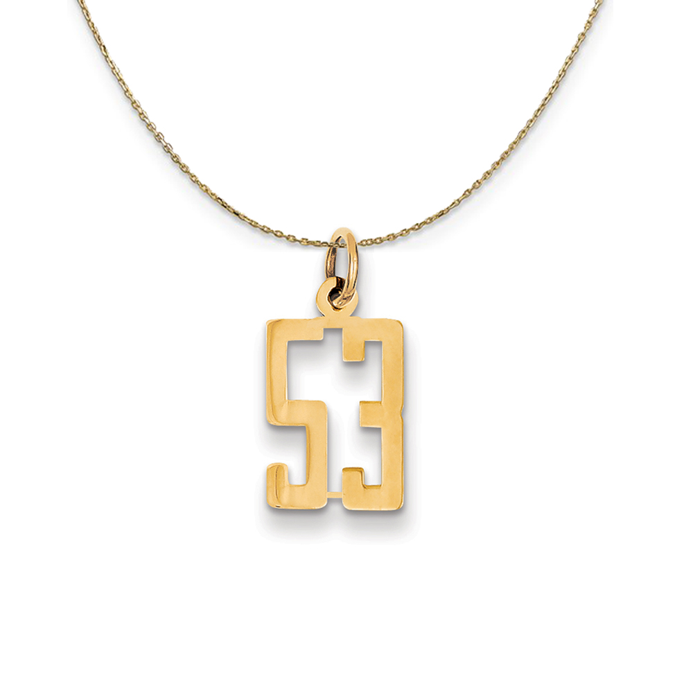 14k Yellow Gold, Alumni Elongated Number 53 Necklace