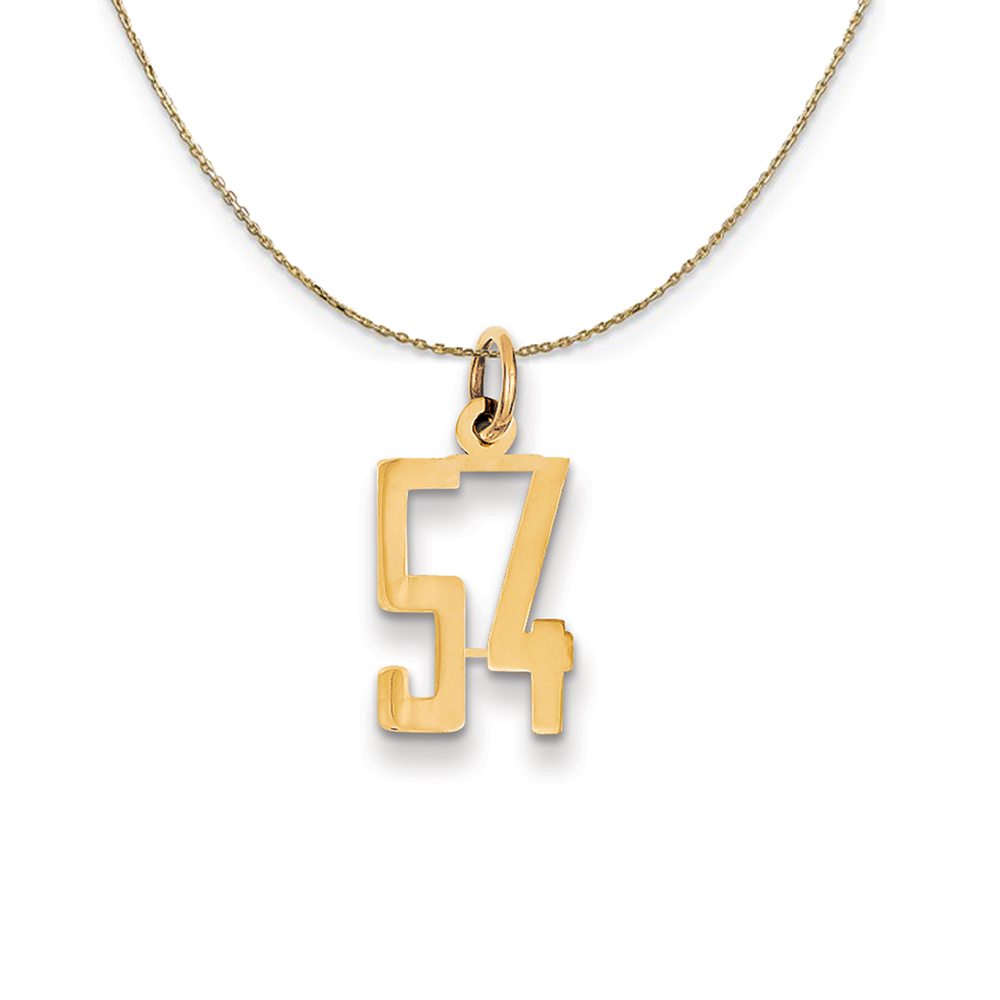 14k Yellow Gold, Alumni Elongated Number 54 Necklace