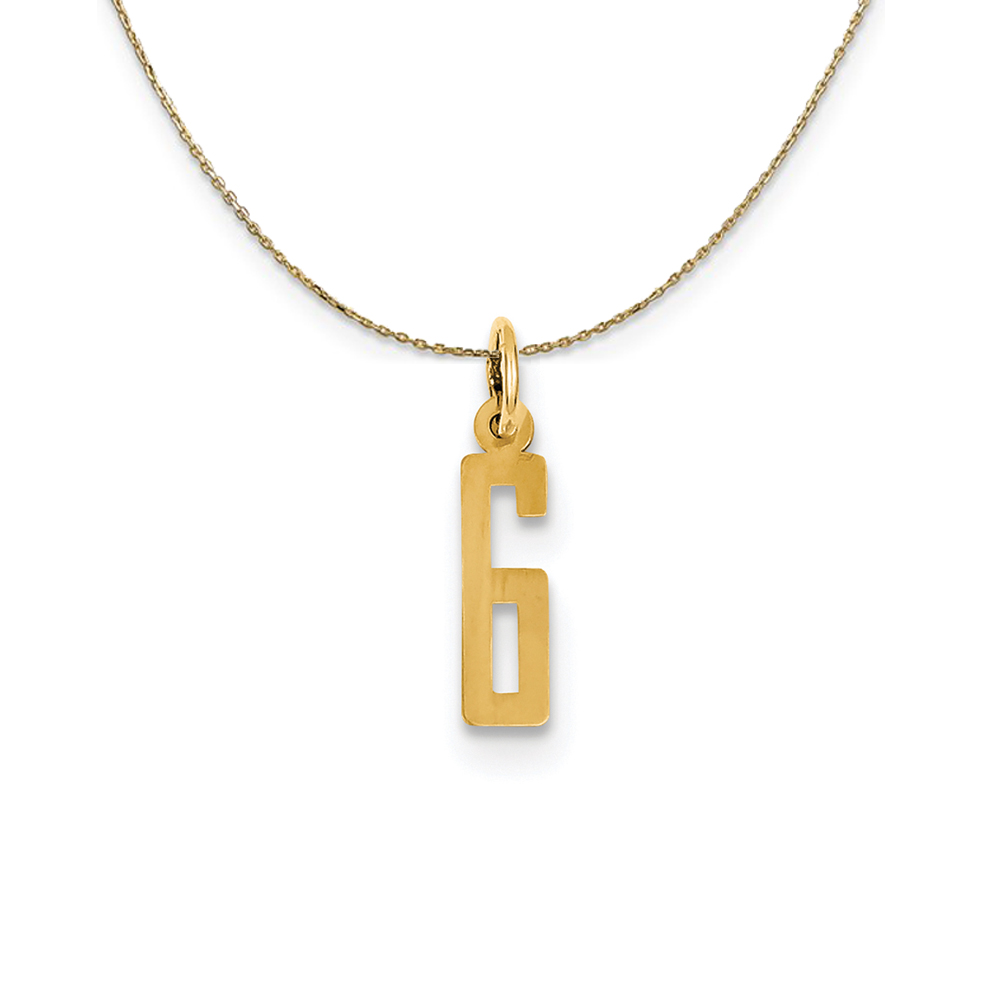 14k Yellow Gold, Alumni Elongated Number 6 Necklace