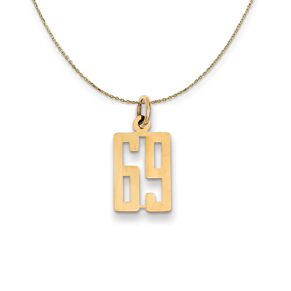 14k Yellow Gold, Alumni Elongated Number 69 Necklace