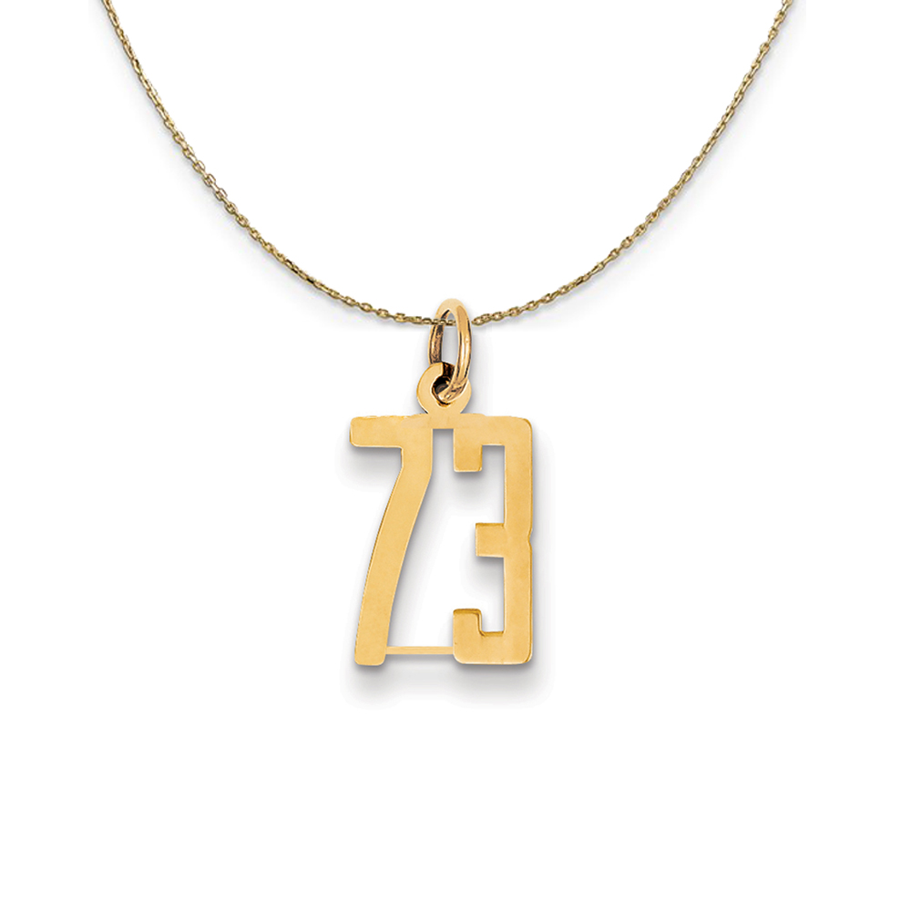 14k Yellow Gold, Alumni Elongated Number 73 Necklace