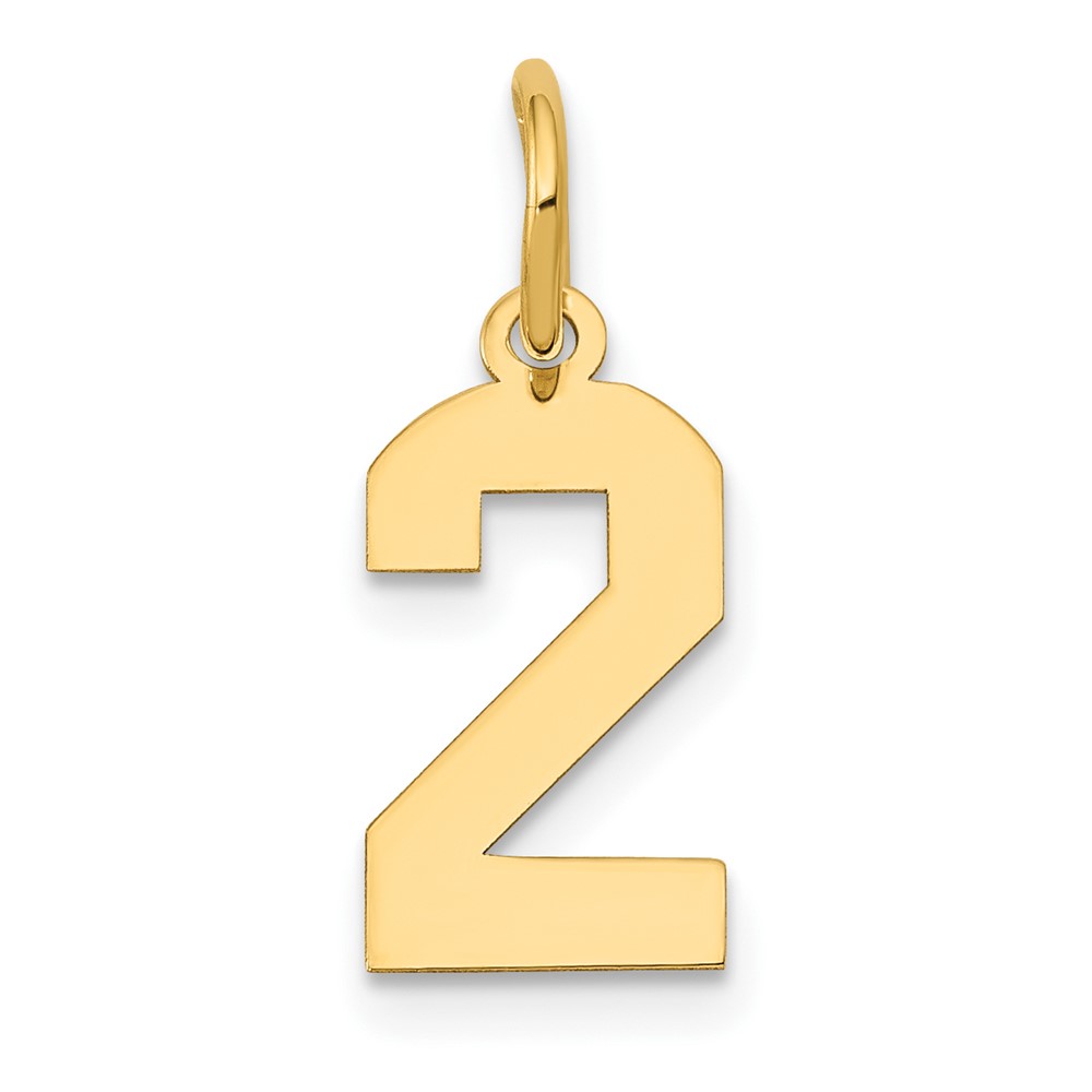 14k Yellow Gold, Athletic Collection, Polished Number 2 Pendant